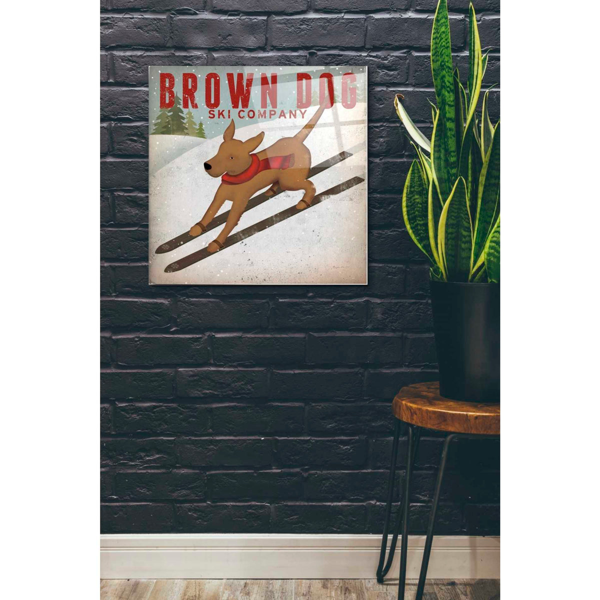 Epic Art 'Brown Dog Ski Co' by Ryan Fowler, Acrylic Glass Wall Art,24x24