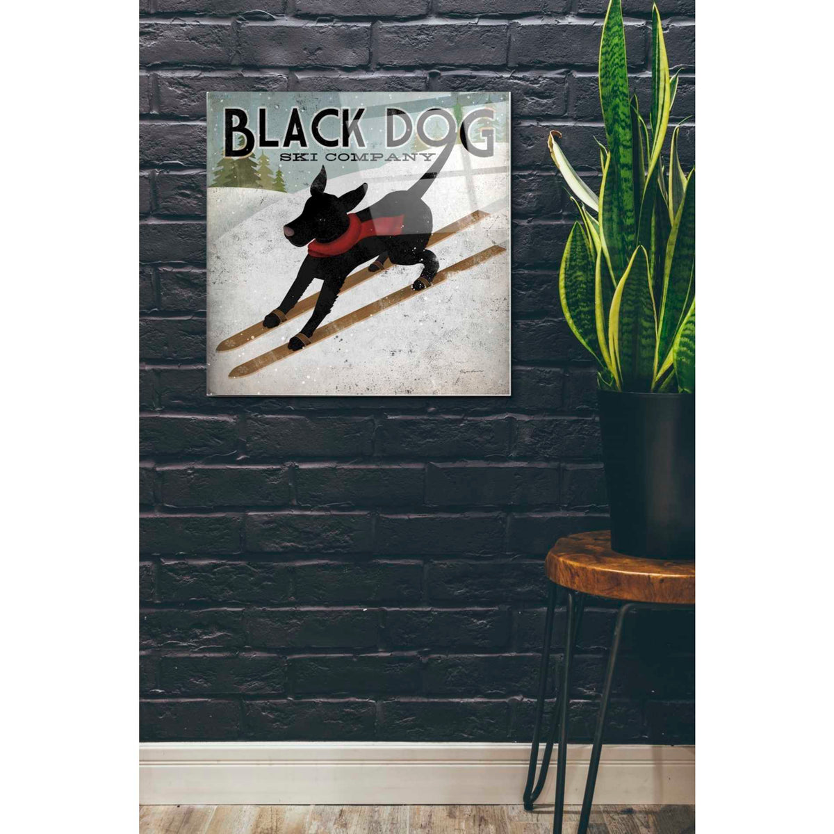 Epic Art 'Black Dog Ski' by Ryan Fowler, Acrylic Glass Wall Art,24x24