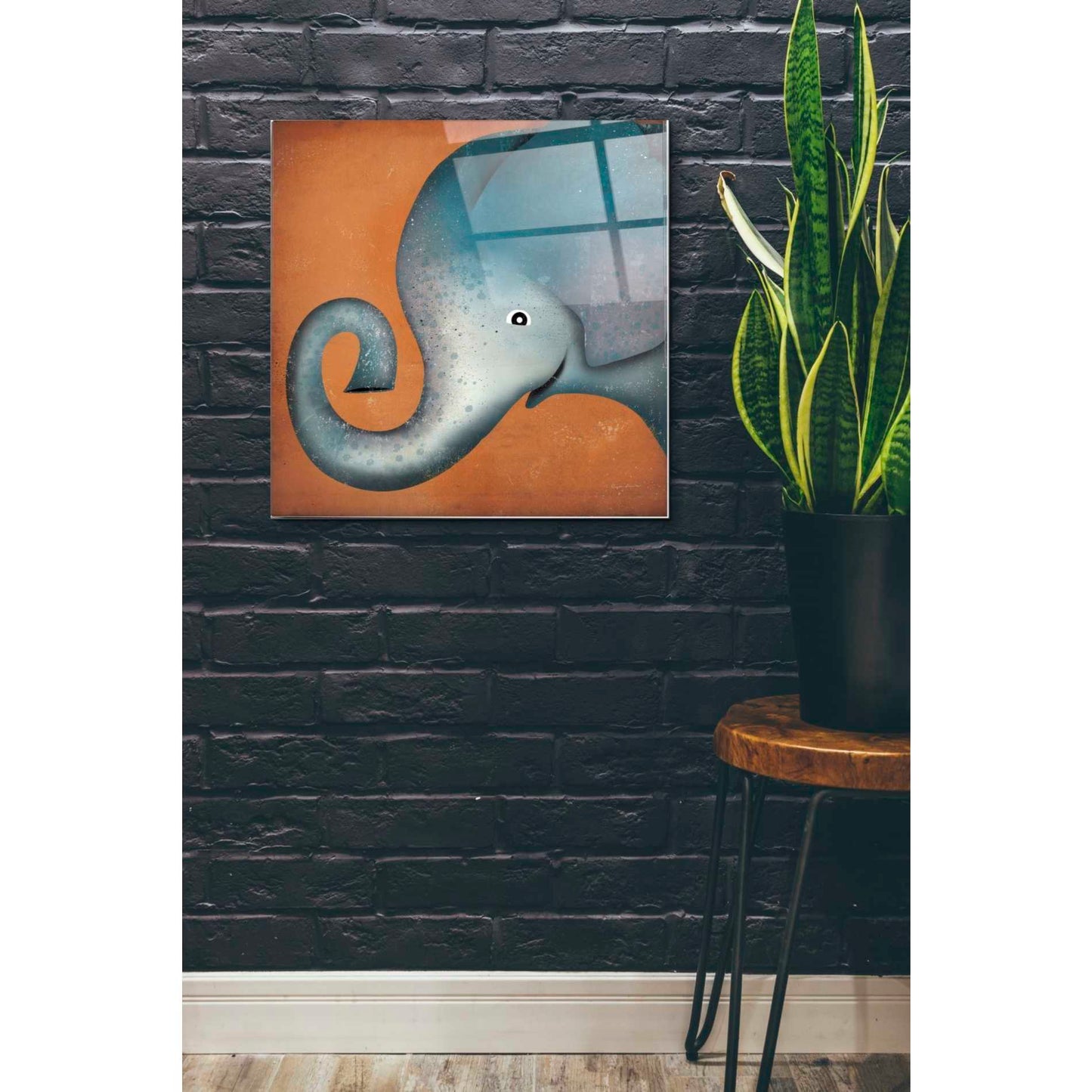 Epic Art 'Elephant Wow' by Ryan Fowler, Acrylic Glass Wall Art,24x24