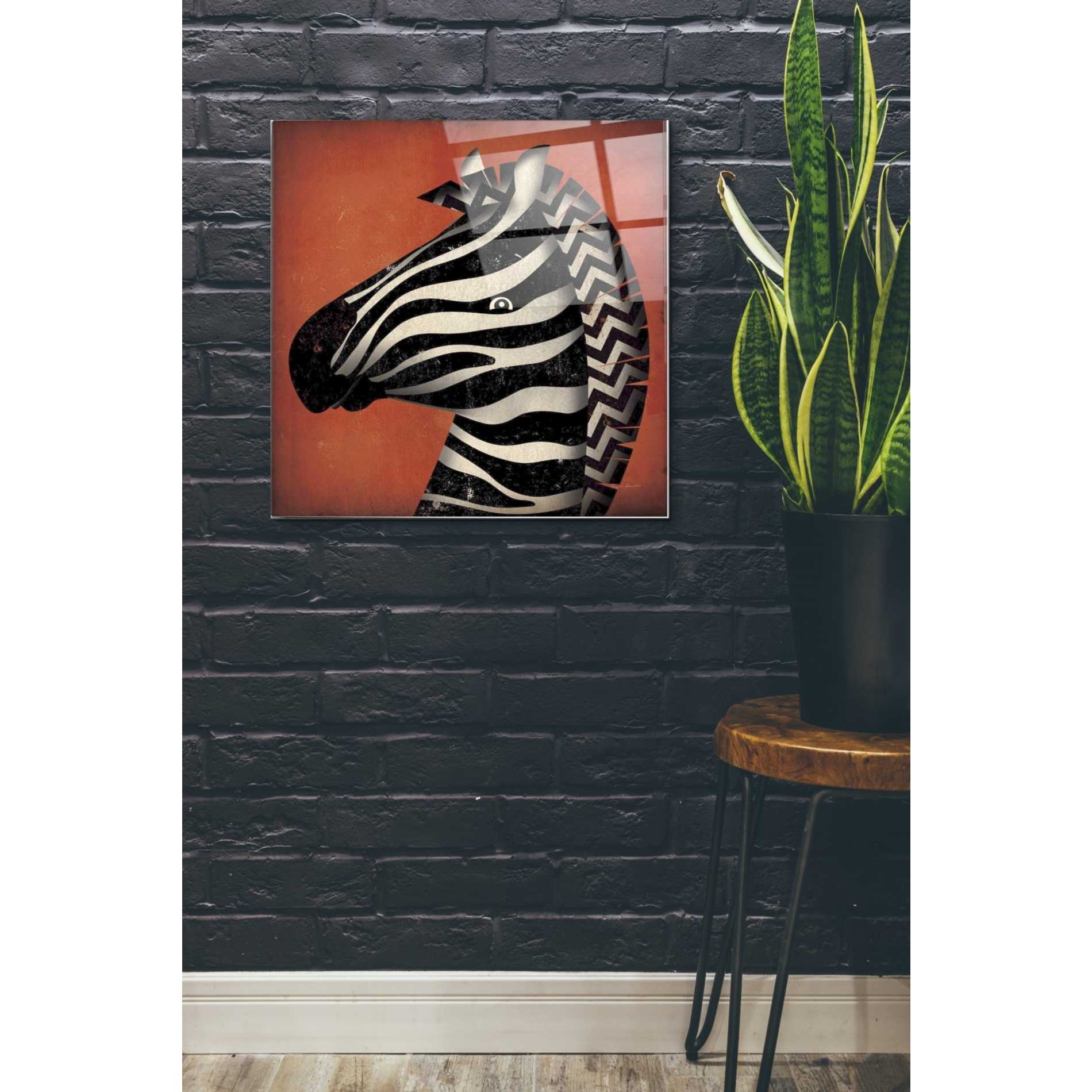 Epic Art 'Zebra Wow' by Ryan Fowler, Acrylic Glass Wall Art,24x24