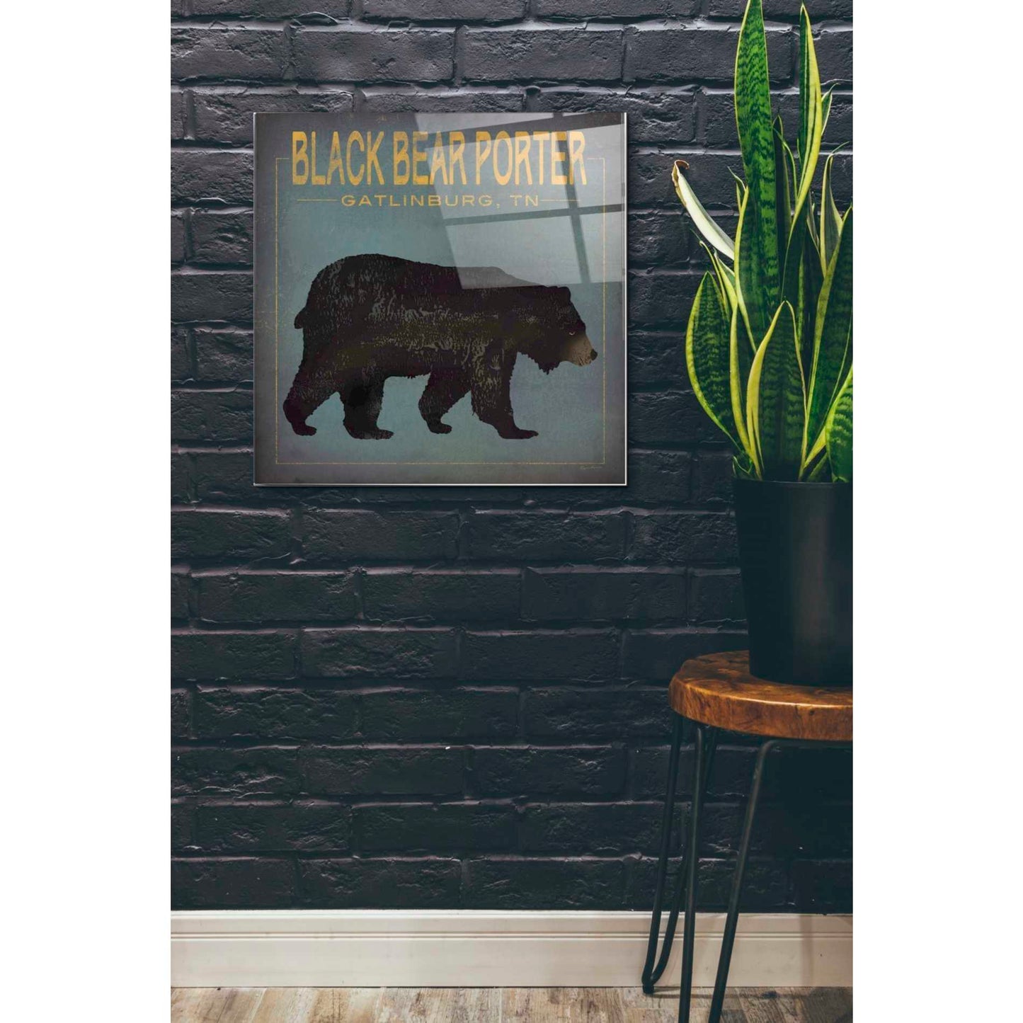 Epic Art 'Black Bear Porter' by Ryan Fowler, Acrylic Glass Wall Art,24x24
