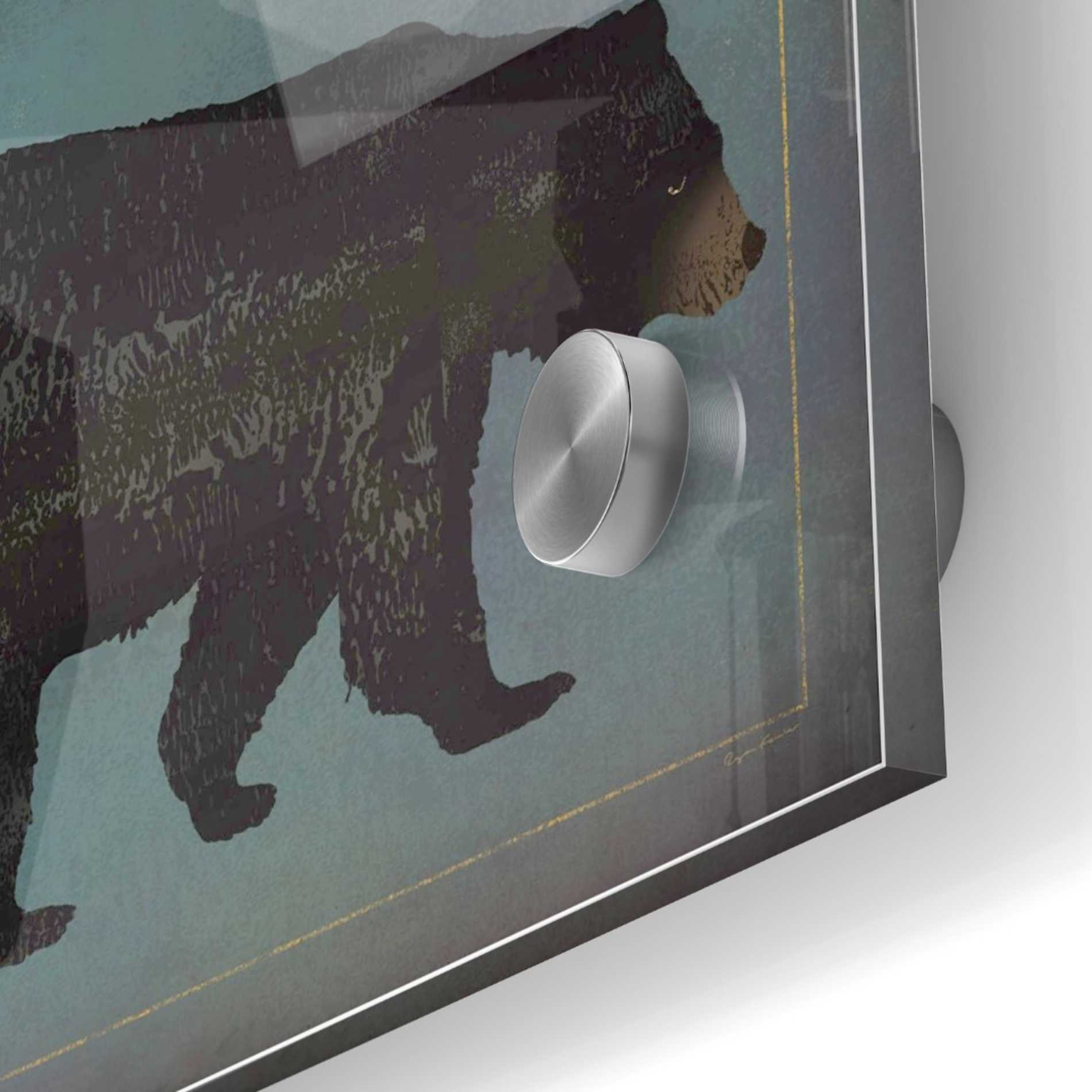 Epic Art 'Black Bear Porter' by Ryan Fowler, Acrylic Glass Wall Art,24x24