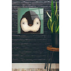 Epic Art 'Baby Penguin' by Ryan Fowler, Acrylic Glass Wall Art,24x24