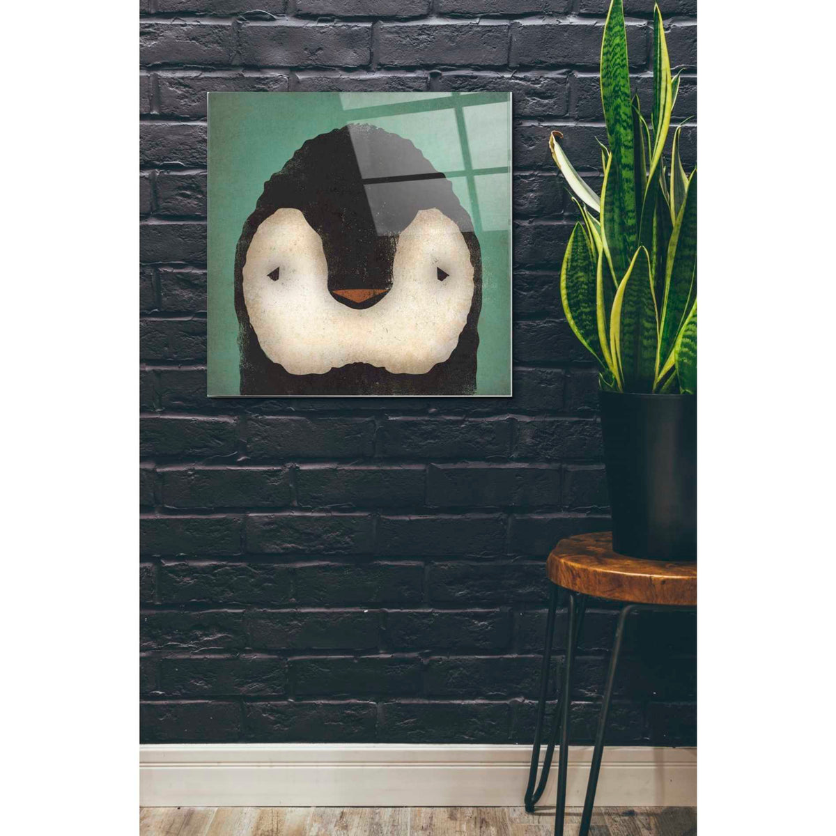 Epic Art 'Baby Penguin' by Ryan Fowler, Acrylic Glass Wall Art,24x24