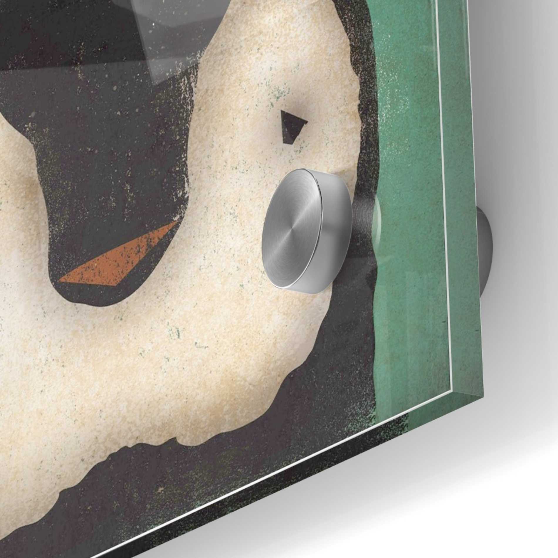 Epic Art 'Baby Penguin' by Ryan Fowler, Acrylic Glass Wall Art,24x24