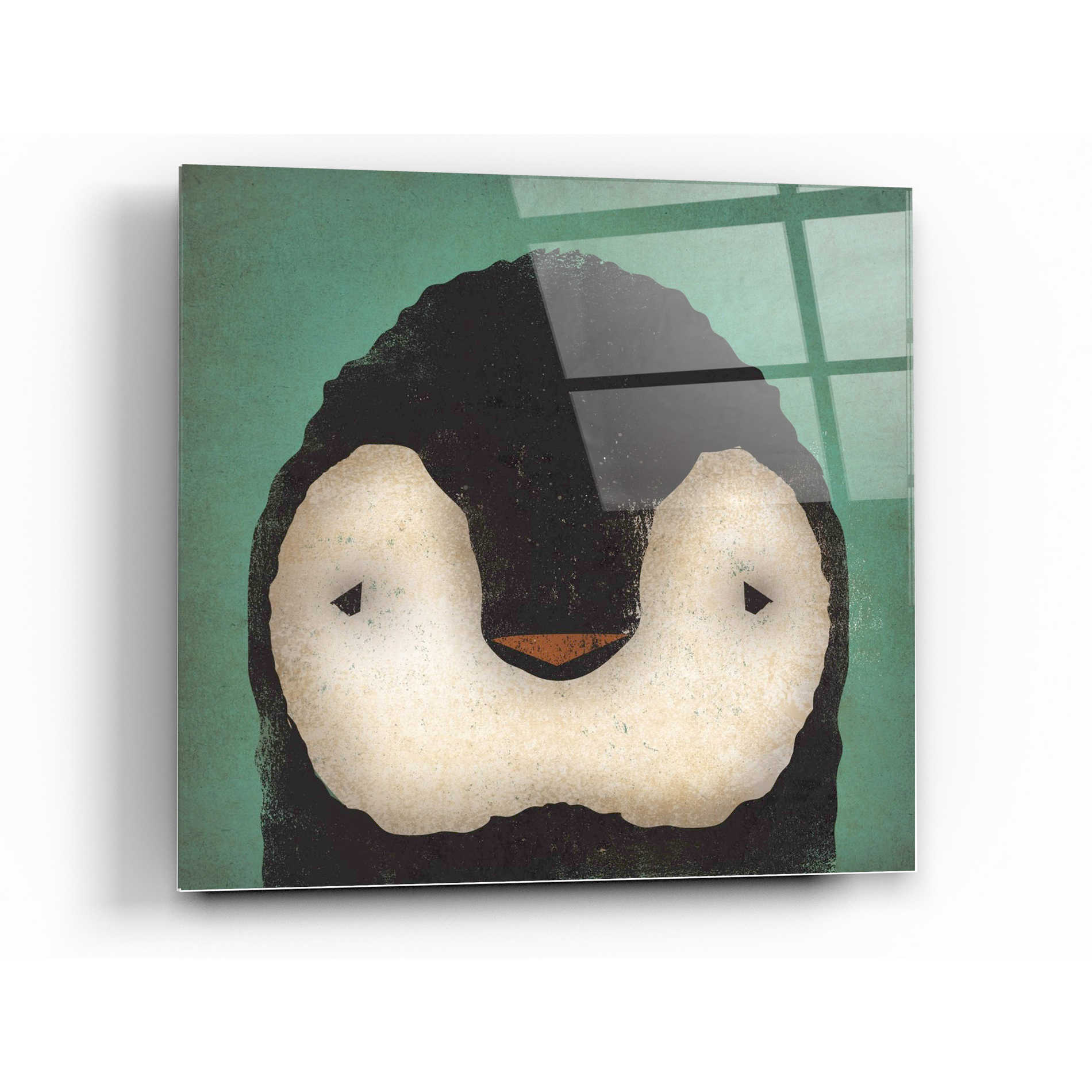 Epic Art 'Baby Penguin' by Ryan Fowler, Acrylic Glass Wall Art,24x24