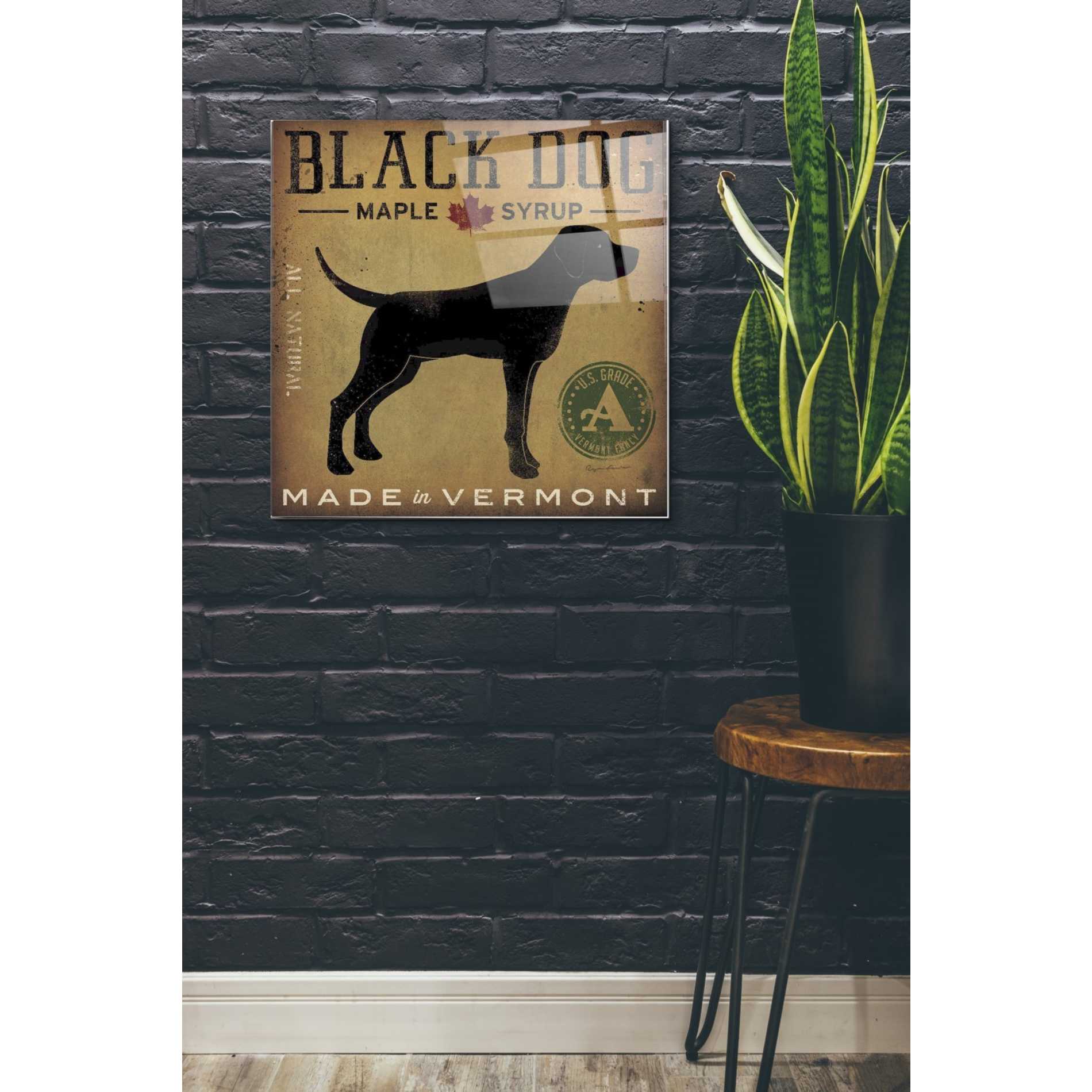 Epic Art 'Black Dog at Show' by Ryan Fowler, Acrylic Glass Wall Art,24x24