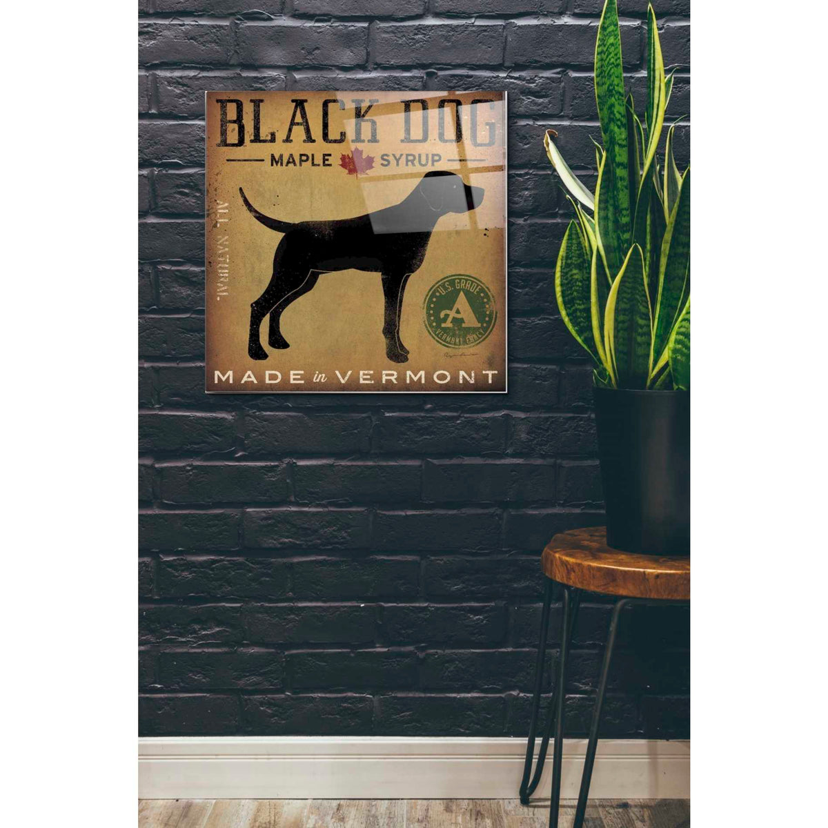 Epic Art 'Black Dog at Show' by Ryan Fowler, Acrylic Glass Wall Art,24x24