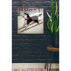 Epic Art 'Husky Ski Co' by Ryan Fowler, Acrylic Glass Wall Art,24x24