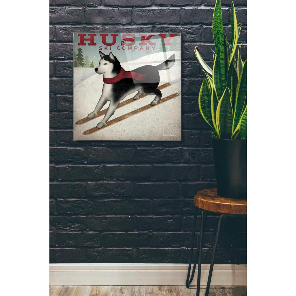 Epic Art 'Husky Ski Co' by Ryan Fowler, Acrylic Glass Wall Art,24x24