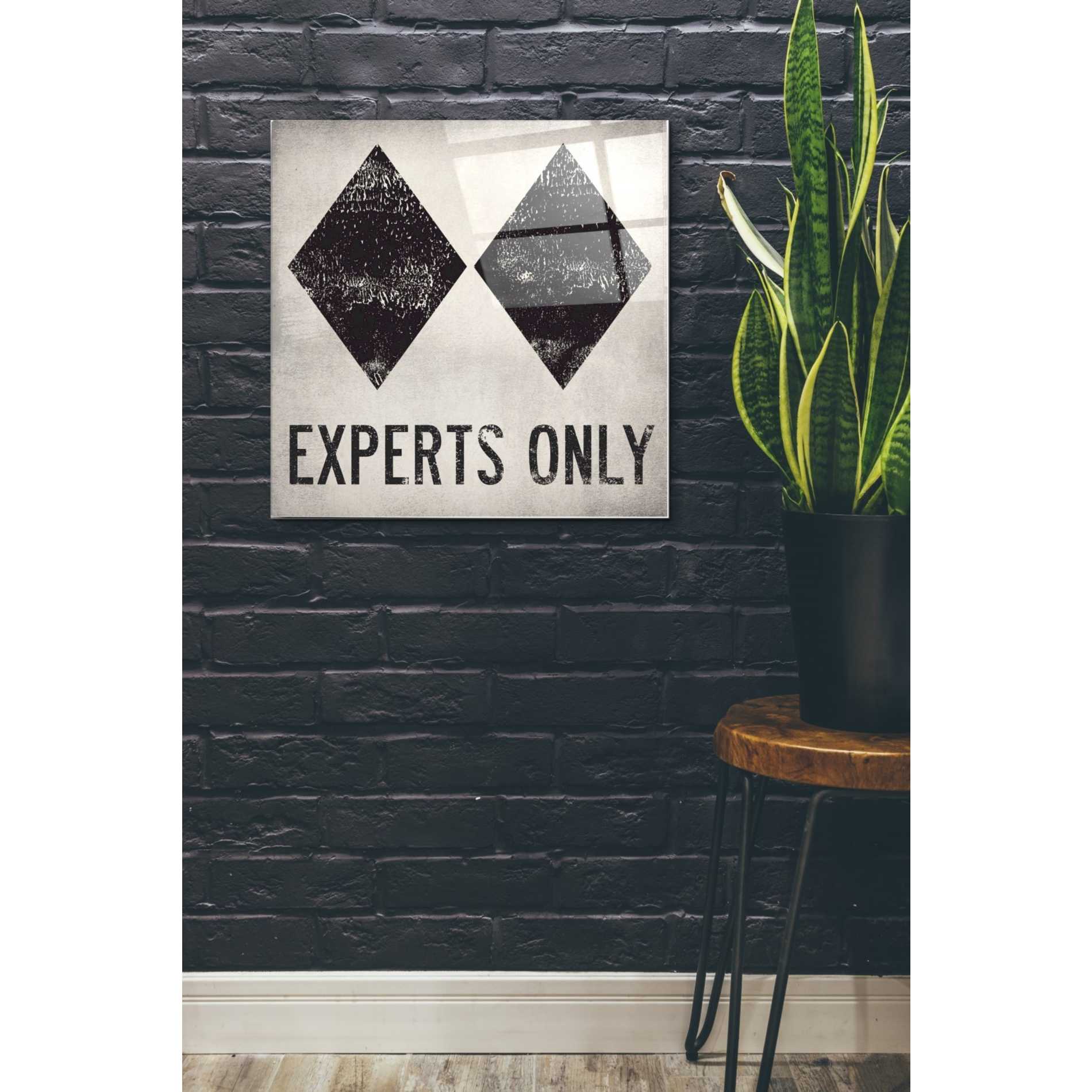 Epic Art 'Experts Only White' by Ryan Fowler, Acrylic Glass Wall Art,24x24