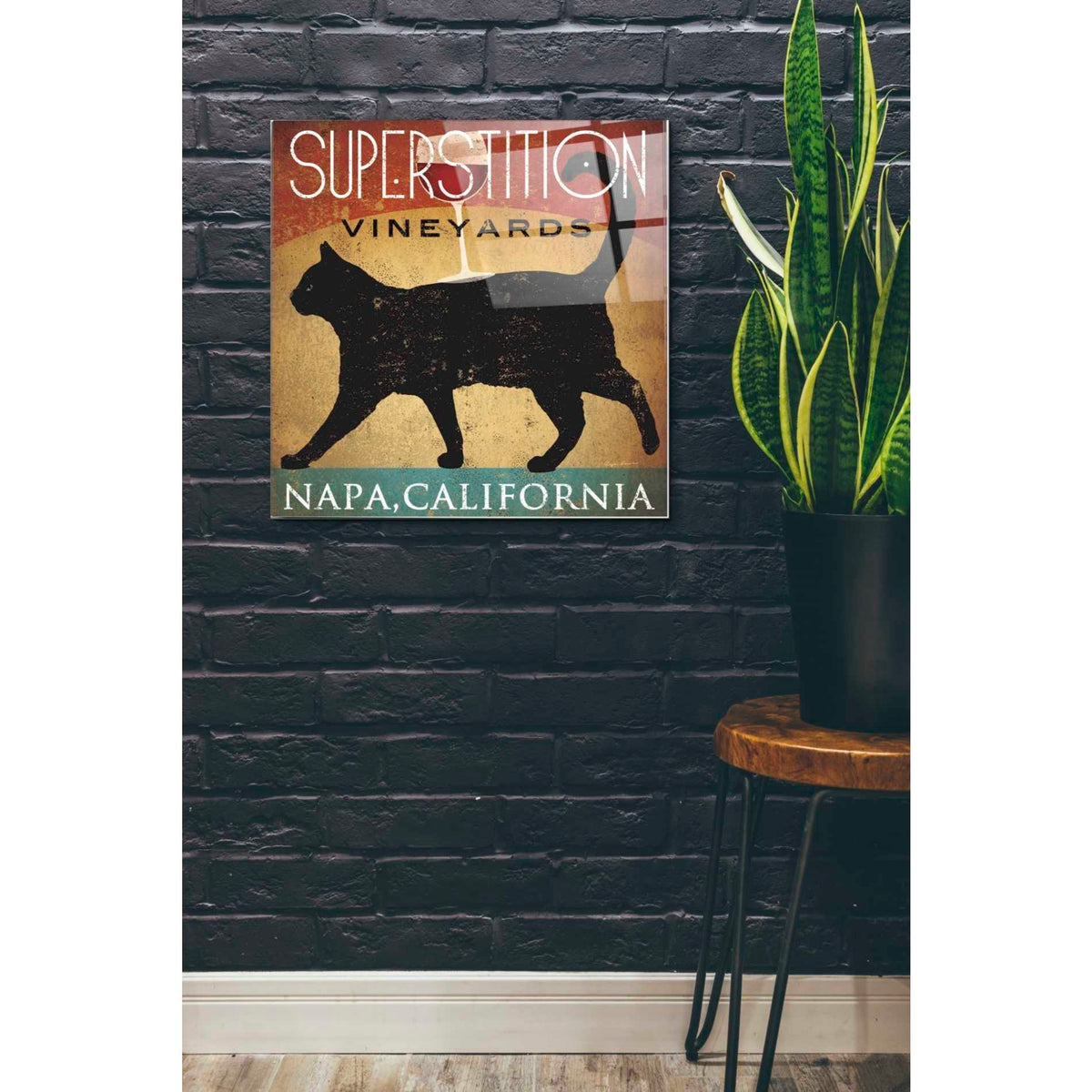 Epic Art 'Superstition Vineyards Cat' by Ryan Fowler, Acrylic Glass Wall Art,24x24
