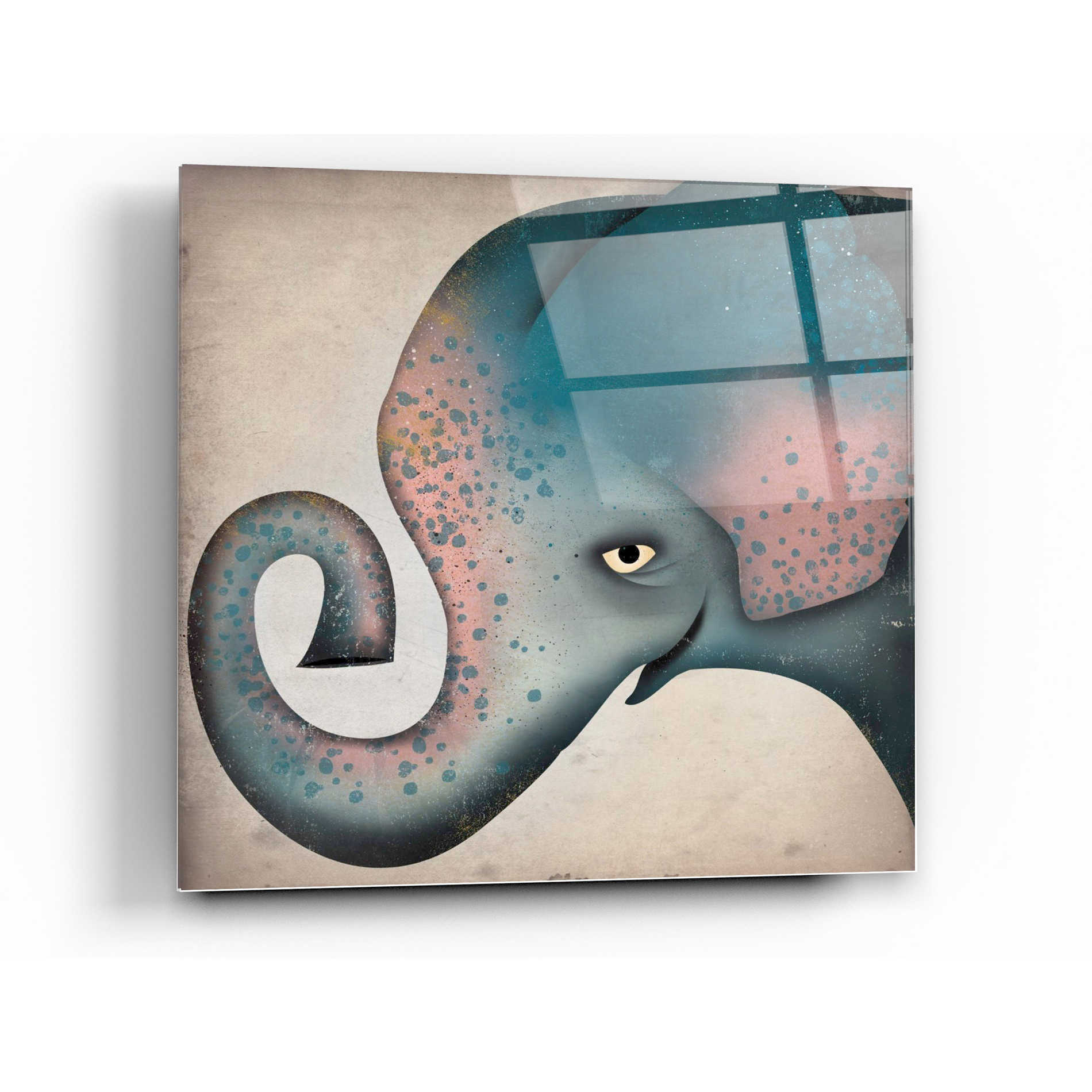 Epic Art 'Elephant Wow II' by Ryan Fowler, Acrylic Glass Wall Art,24x24