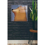 Epic Art 'Brown Bear Wow' by Ryan Fowler, Acrylic Glass Wall Art,24x24