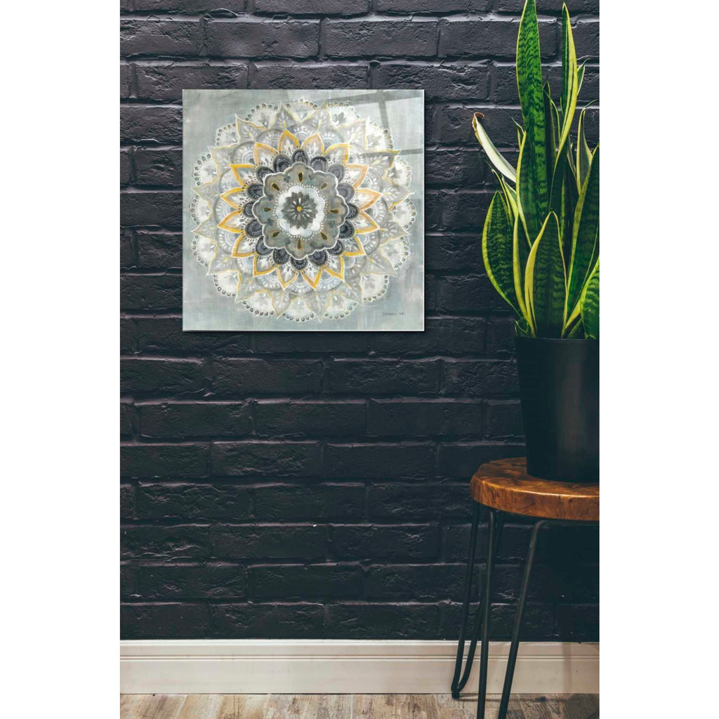 Epic Art 'Sunburst' by Danhui Nai, Acrylic Glass Wall Art,24x24