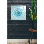 Epic Art 'Coastal Mandala' by Danhui Nai, Acrylic Glass Wall Art,24x24