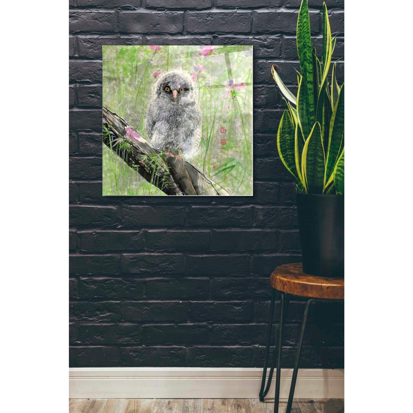 Epic Art 'Owlet' by River Han, Acrylic Glass Wall Art,24x24