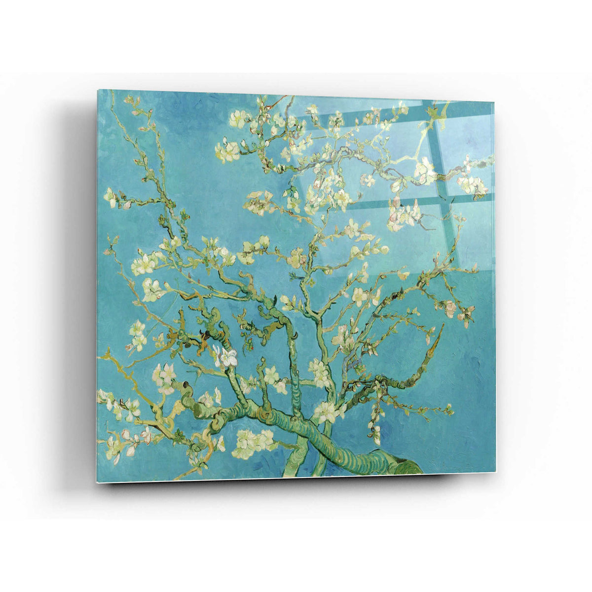 Epic Art 'Almond Blossoms' by Vincent Van Gogh, Acrylic Glass Wall Art,24x24