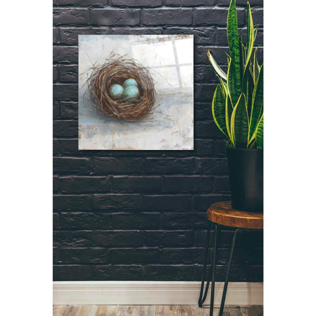 Epic Art 'Rustic Bird Nest I' by Ethan Harper Acrylic Glass Wall Art,24x24