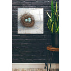 Epic Art 'Rustic Bird Nest I' by Ethan Harper Acrylic Glass Wall Art,24x24