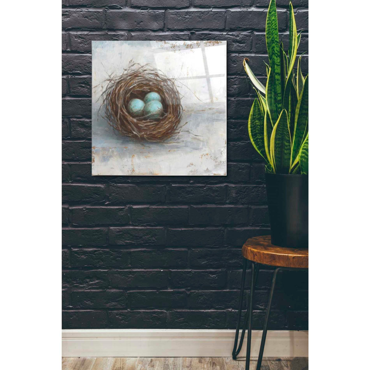 Epic Art 'Rustic Bird Nest I' by Ethan Harper Acrylic Glass Wall Art,24x24