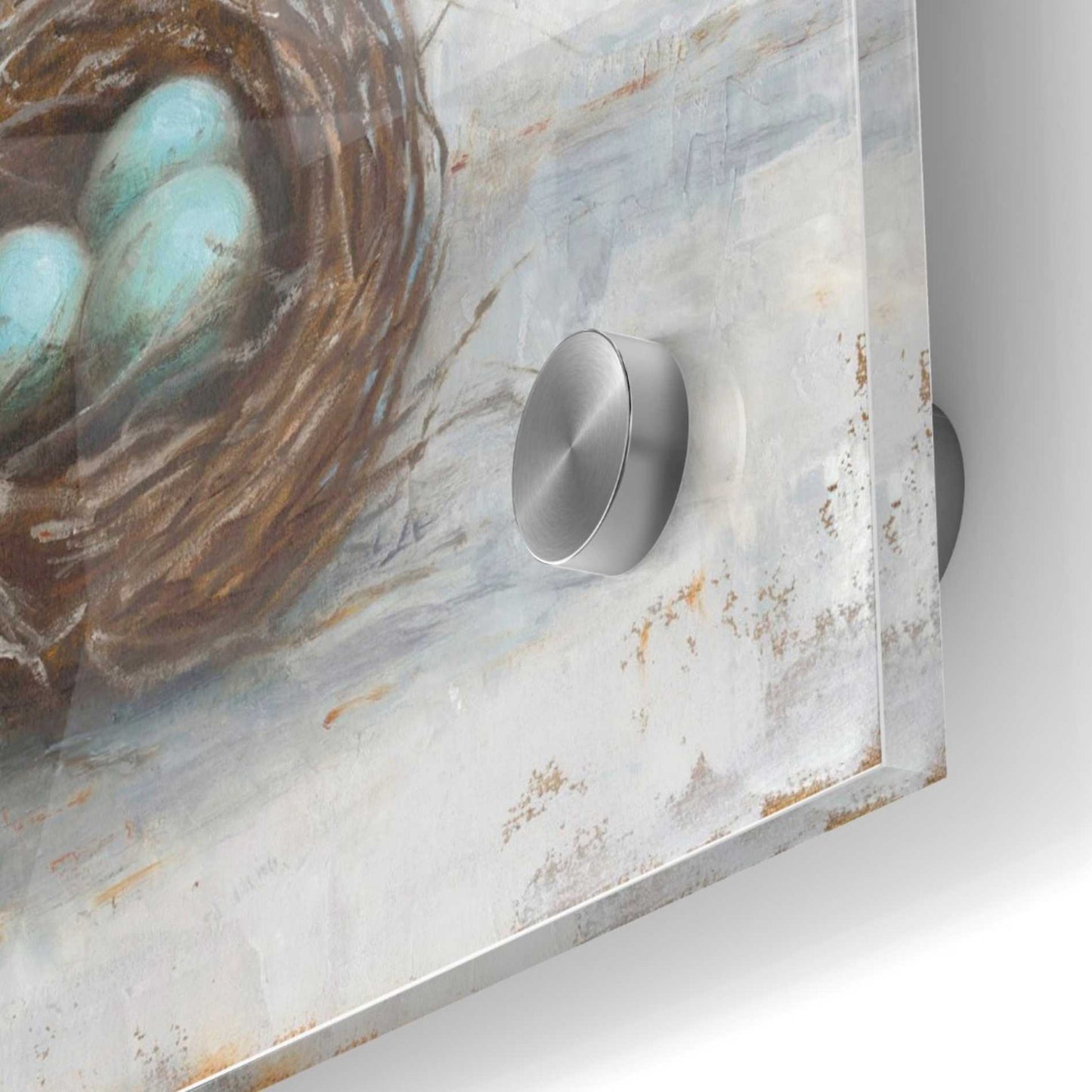 Epic Art 'Rustic Bird Nest I' by Ethan Harper Acrylic Glass Wall Art,24x24