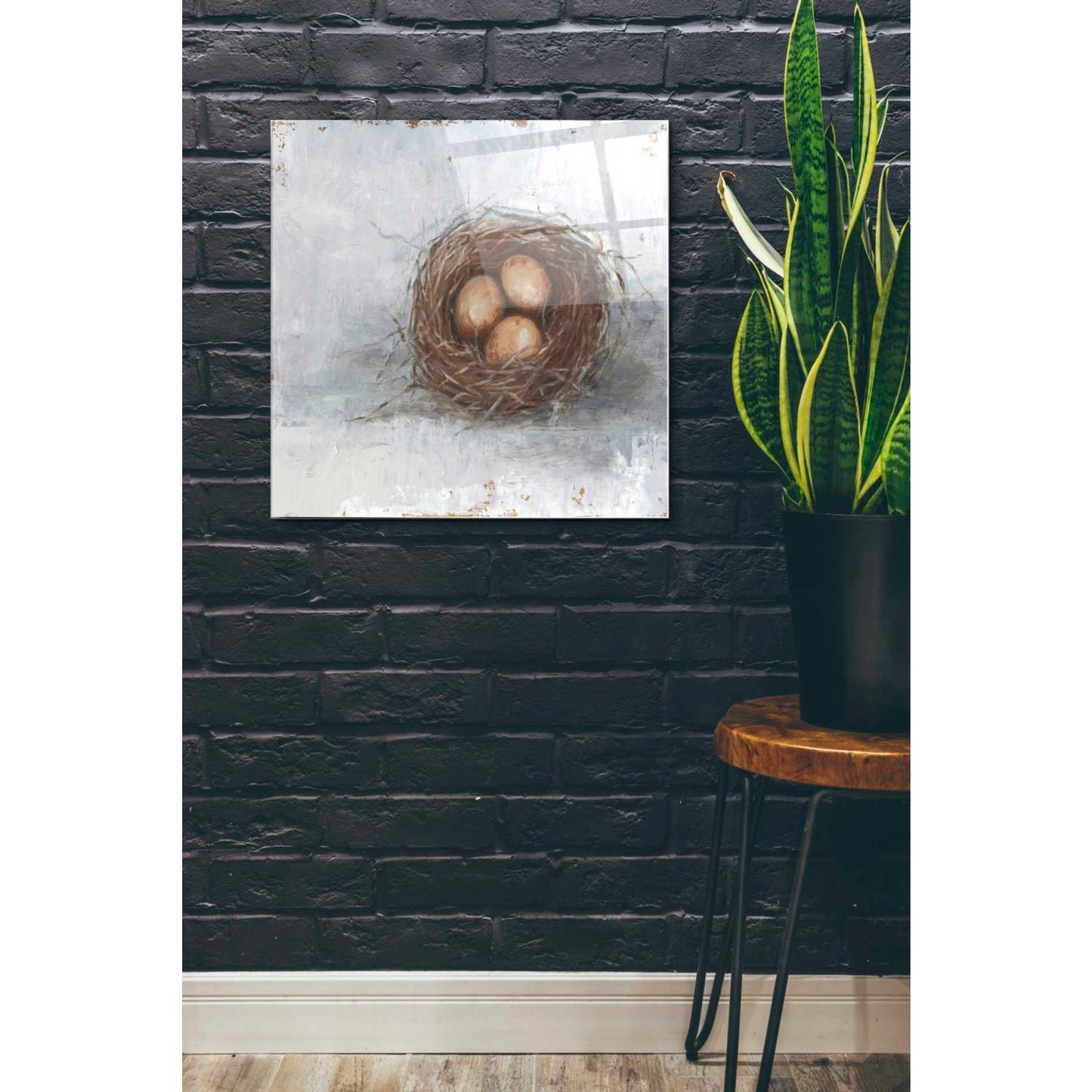 Epic Art 'Rustic Bird Nest II' by Ethan Harper Acrylic Glass Wall Art,24x24