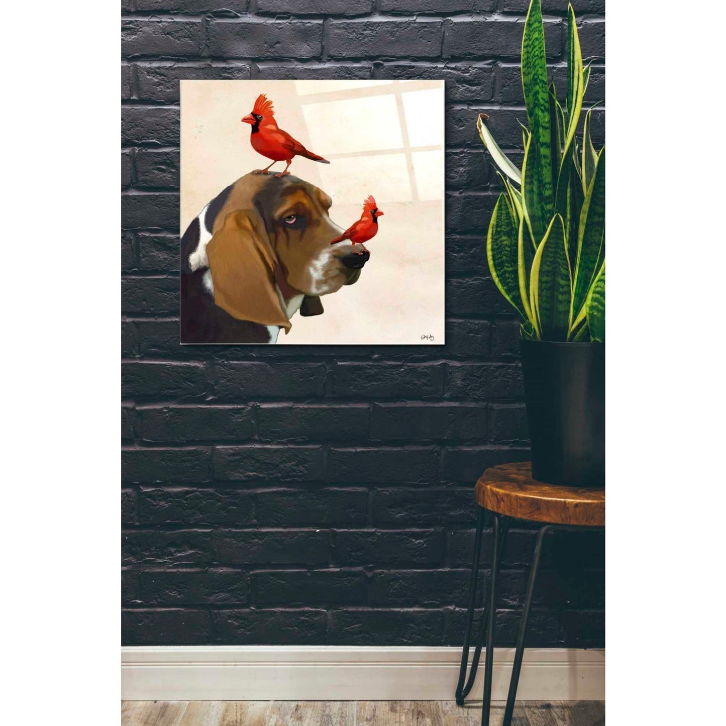Epic Art 'Basset Hound and Birds' by Fab Funky Acrylic Glass Wall Art,24x24