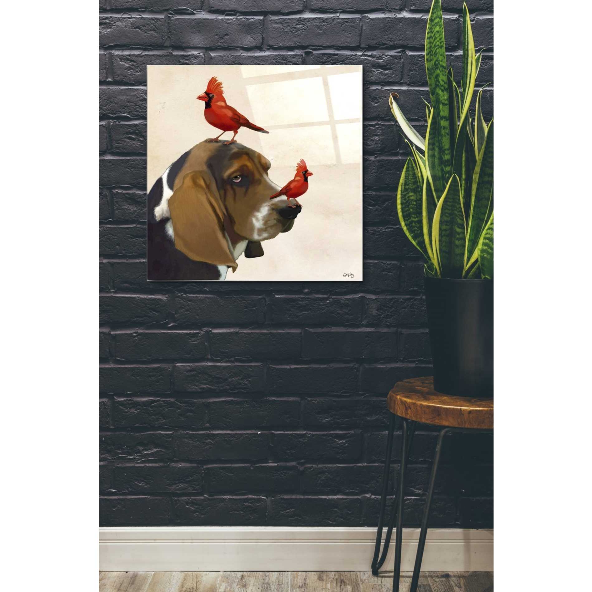 Epic Art 'Basset Hound and Birds' by Fab Funky Acrylic Glass Wall Art,24x24