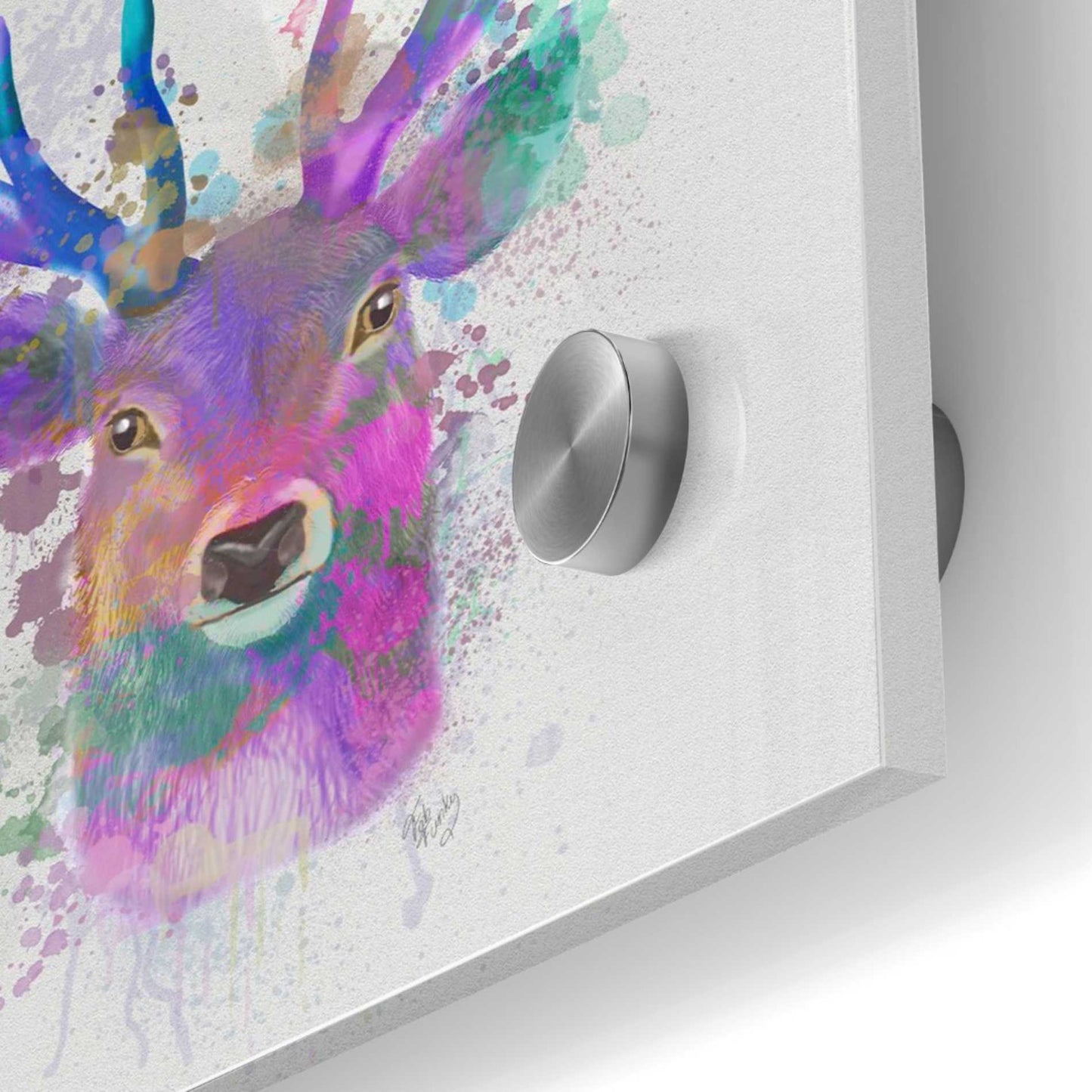Epic Art 'Deer Head 1 Rainbow Splash Pink and Purple' by Fab Funky Acrylic Glass Wall Art,24x24