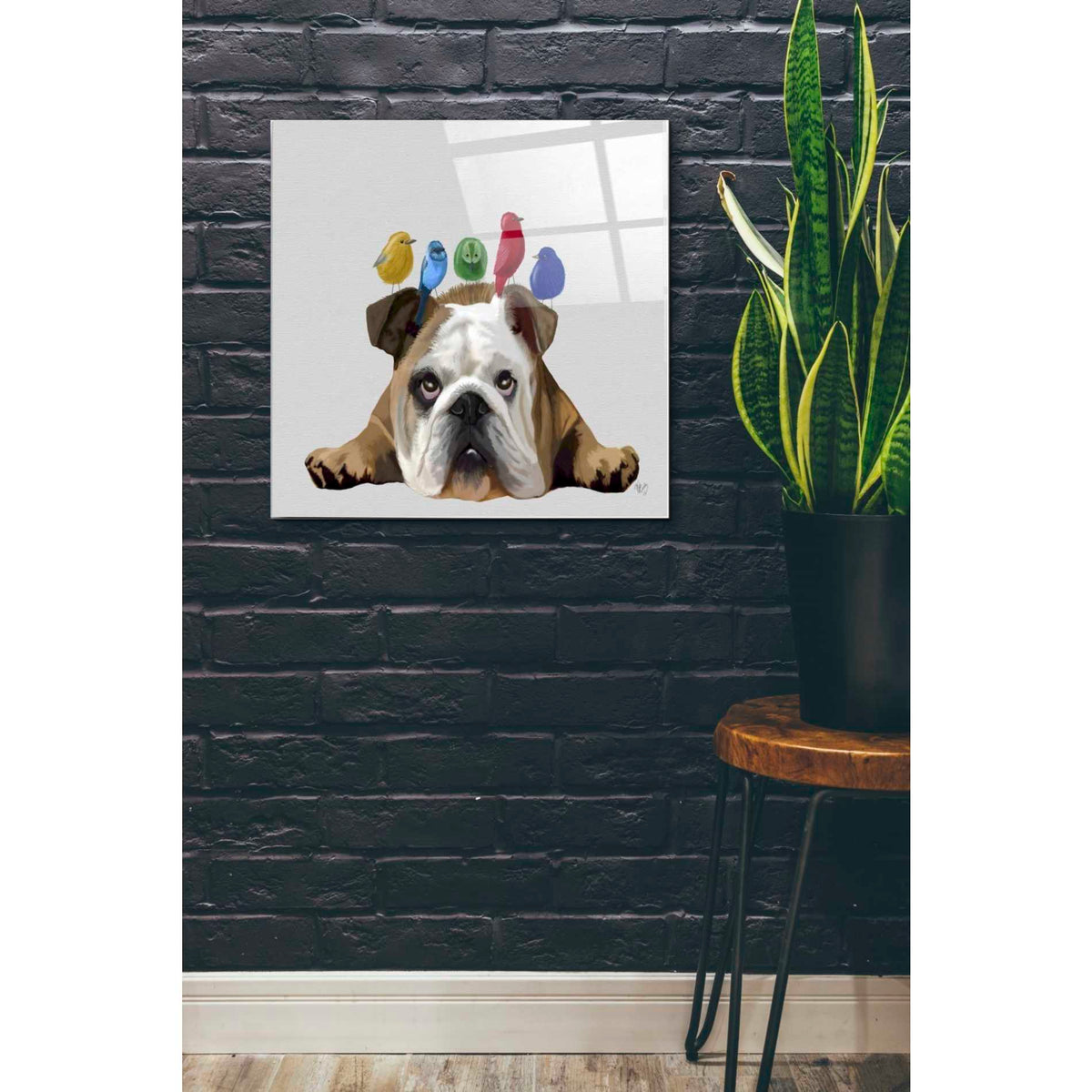 Epic Art 'English Bulldog and Birds' by Fab Funky Acrylic Glass Wall Art,24x24