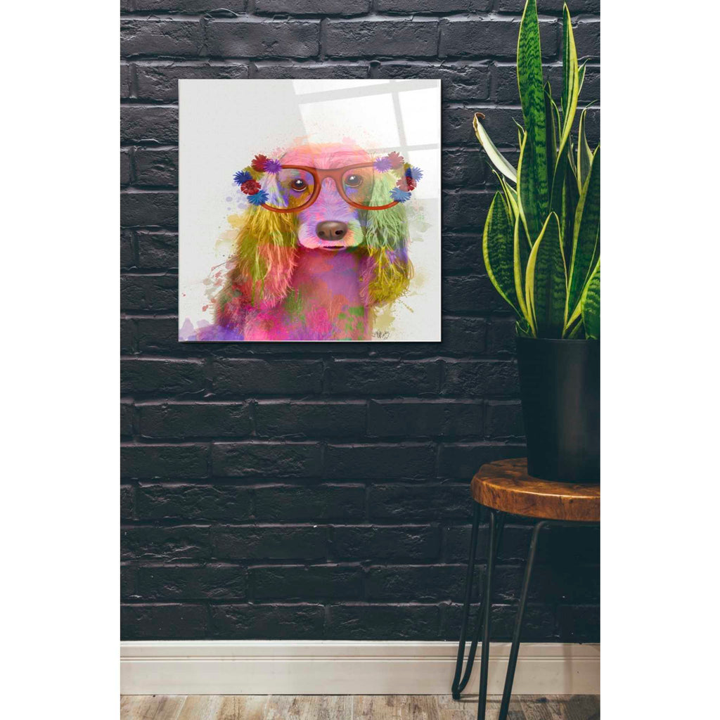 Epic Art 'Rainbow Splash Cocker Spaniel, Portrait' by Fab Funky Acrylic Glass Wall Art,24x24