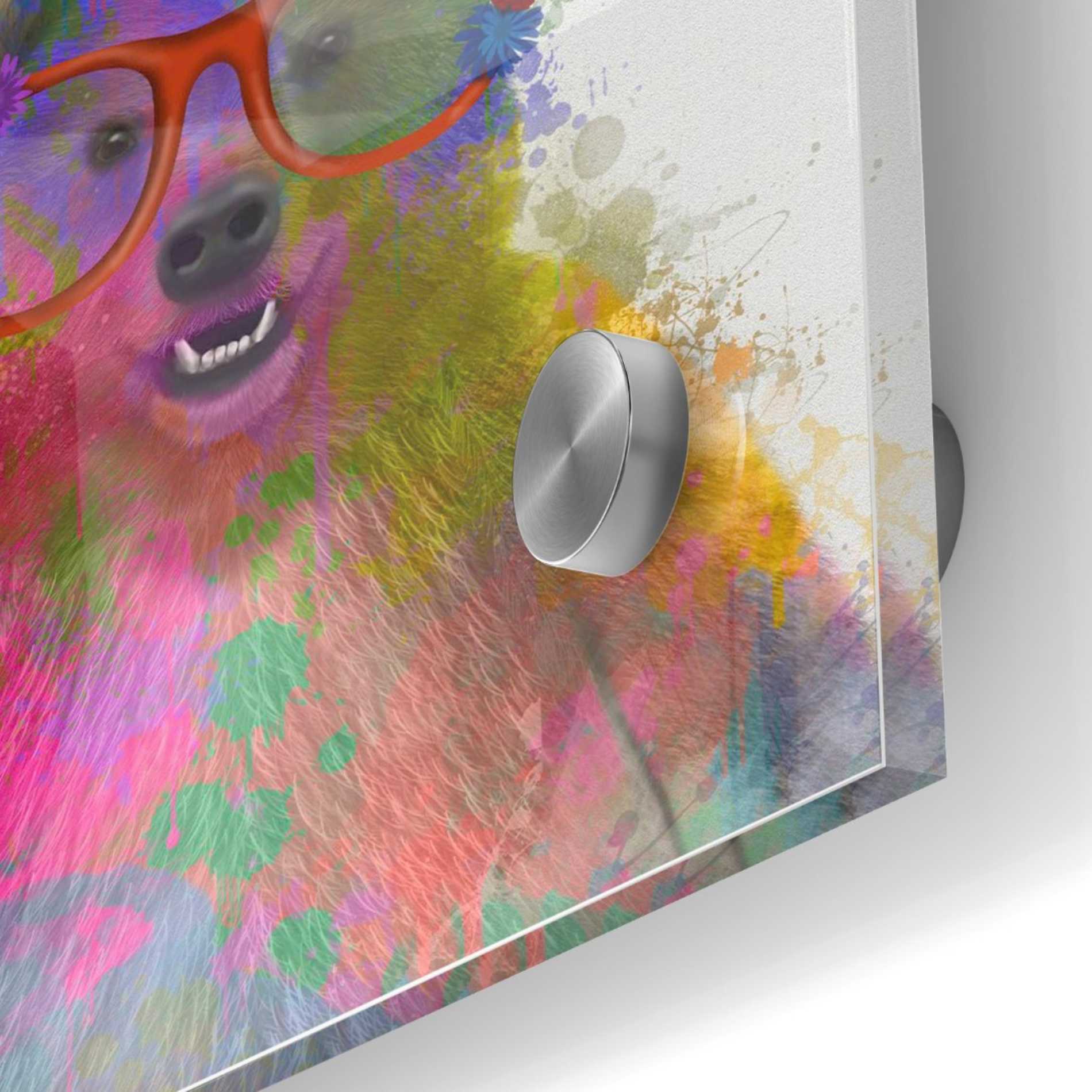 Epic Art 'Rainbow Splash Bear' by Fab Funky Acrylic Glass Wall Art,24x24
