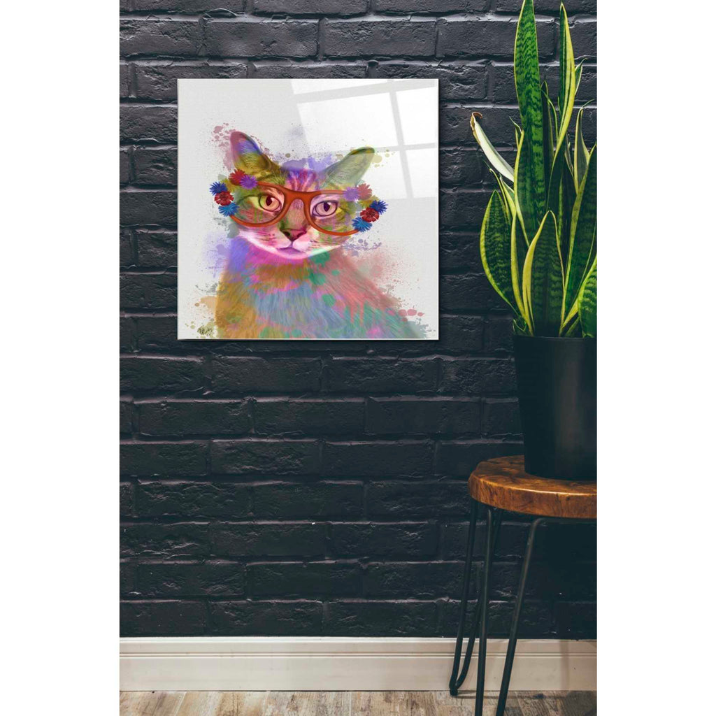 Epic Art 'Rainbow Splash Cat 1' by Fab Funky Acrylic Glass Wall Art,24x24