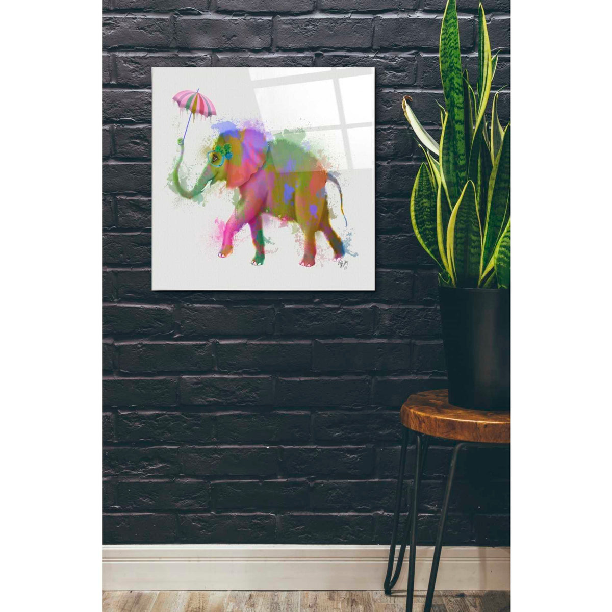 Epic Art 'Rainbow Splash Elephant' by Fab Funky Acrylic Glass Wall Art,24x24
