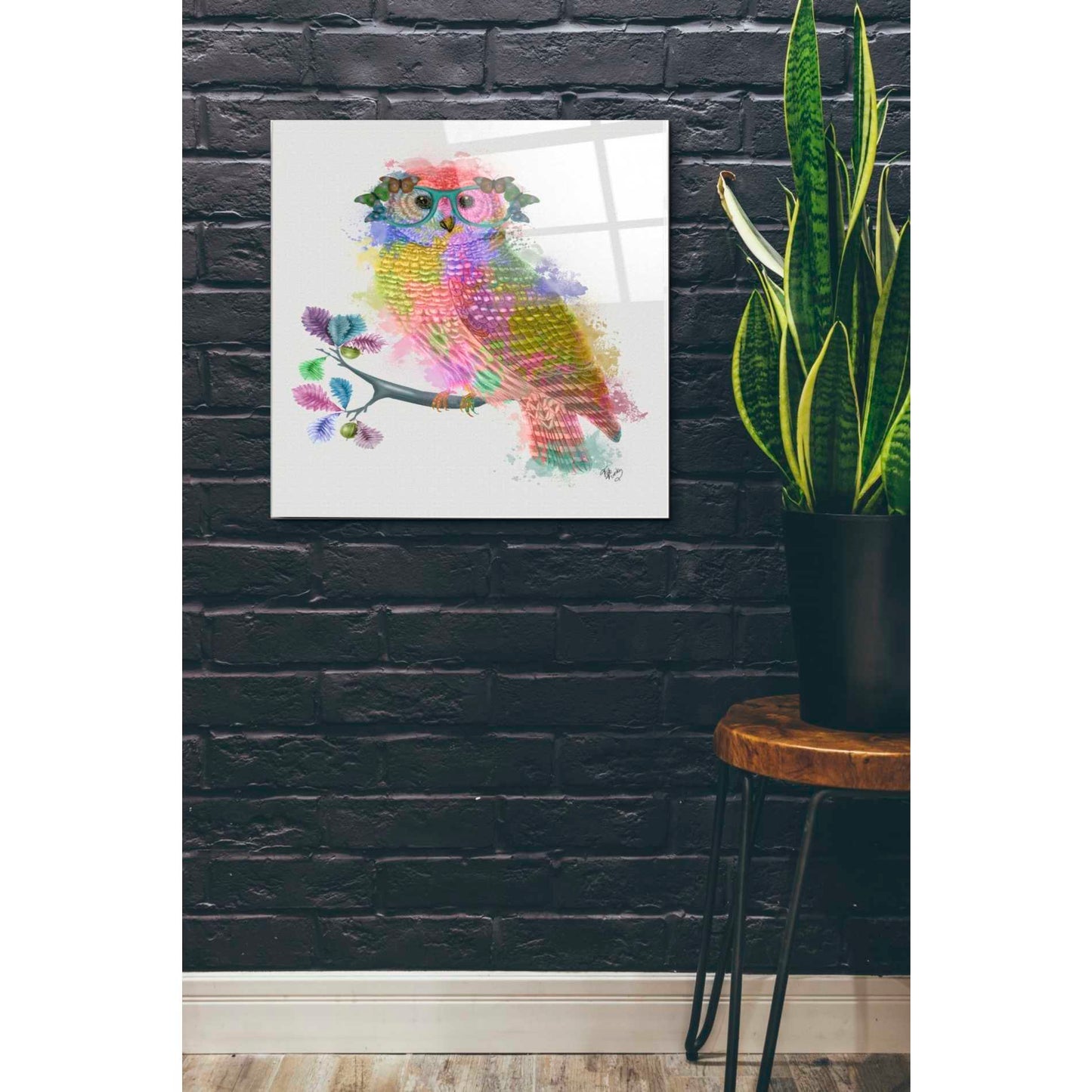 Epic Art 'Rainbow Splash Owl' by Fab Funky Acrylic Glass Wall Art,24x24