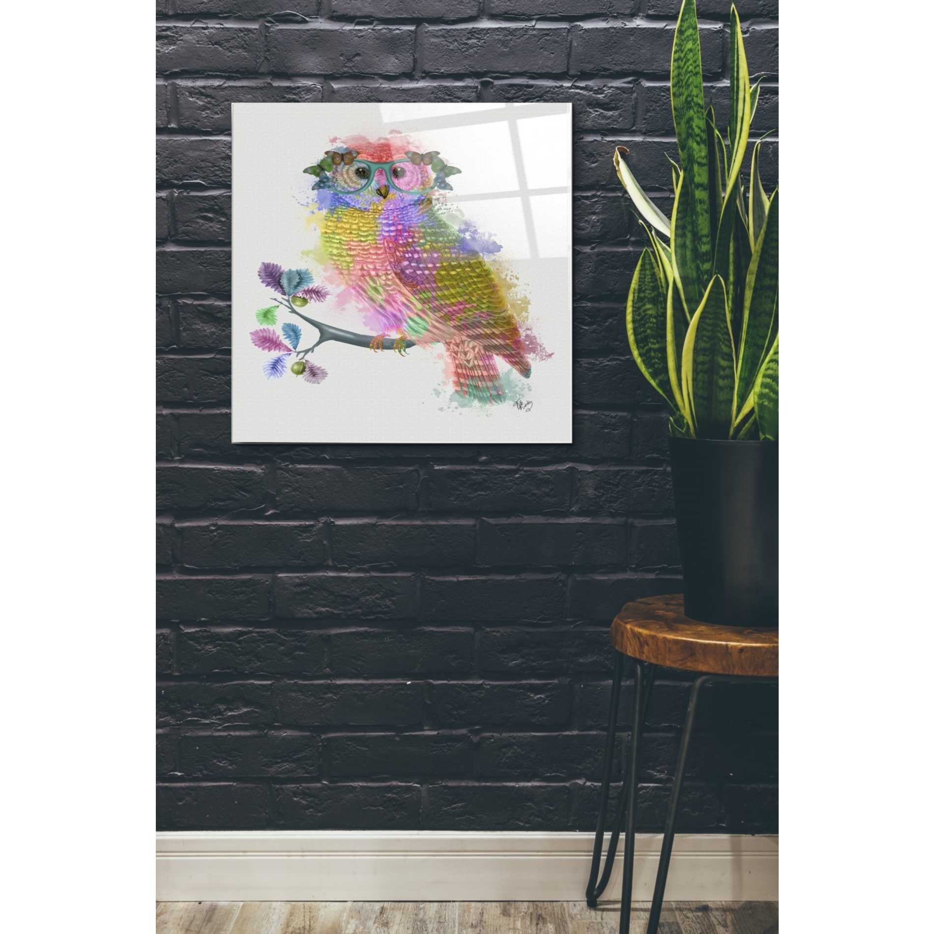 Epic Art 'Rainbow Splash Owl' by Fab Funky Acrylic Glass Wall Art,24x24