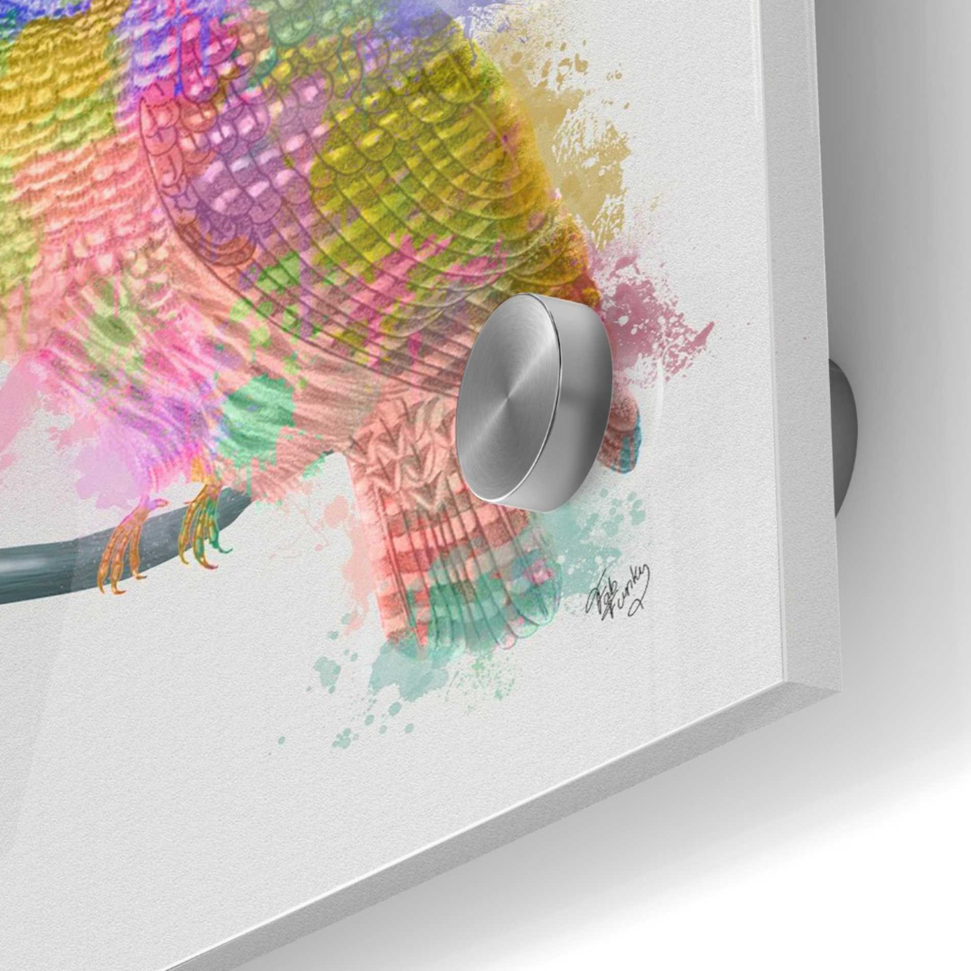Epic Art 'Rainbow Splash Owl' by Fab Funky Acrylic Glass Wall Art,24x24