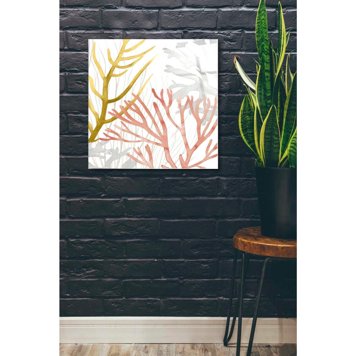 Epic Art 'Desert Coral II' by Grace Popp Acrylic Glass Wall Art,24x24