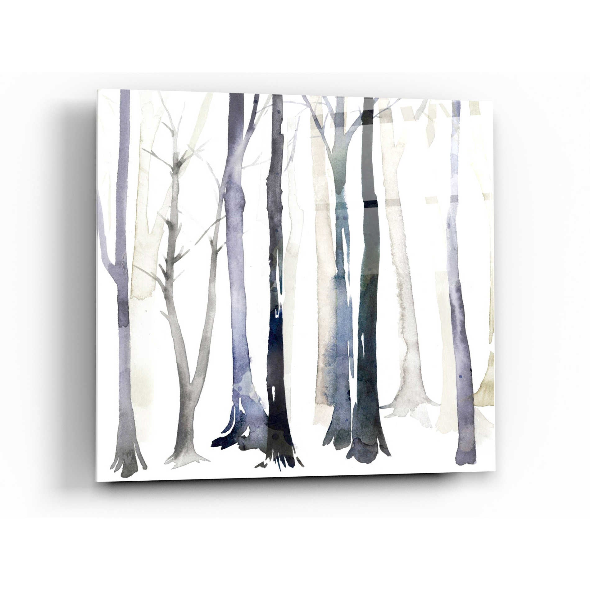 Epic Art 'In the Forest II' by Grace Popp Acrylic Glass Wall Art,24x24