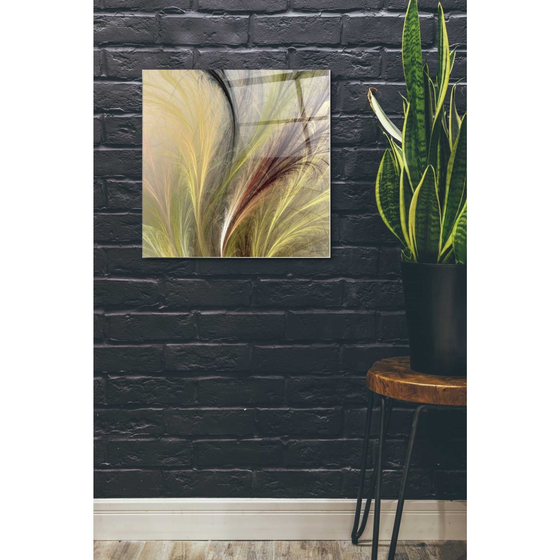 Epic Art 'Fountain Grass I' by James Burghardt, Acrylic Glass Wall Art,24x24
