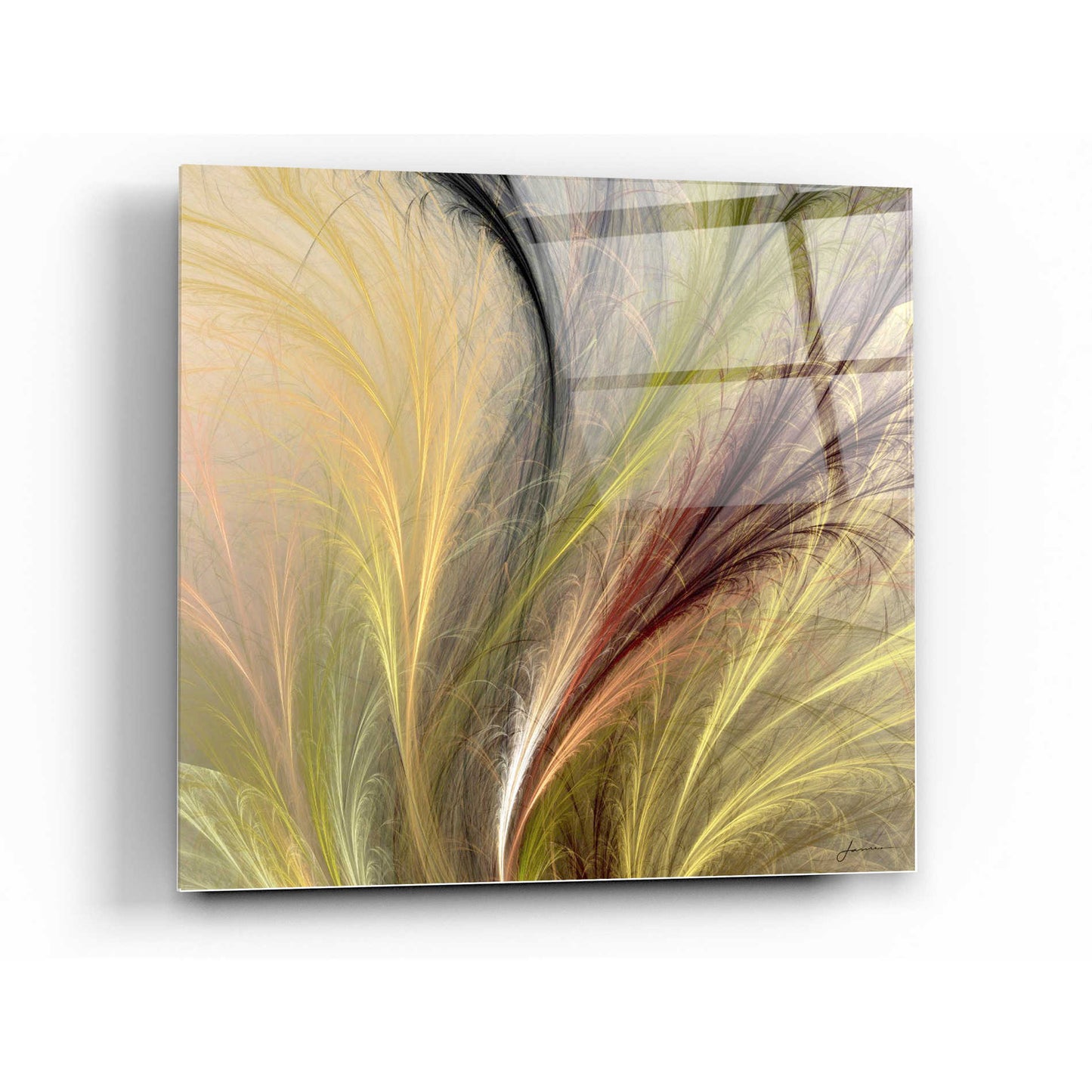 Epic Art 'Fountain Grass I' by James Burghardt, Acrylic Glass Wall Art,24x24