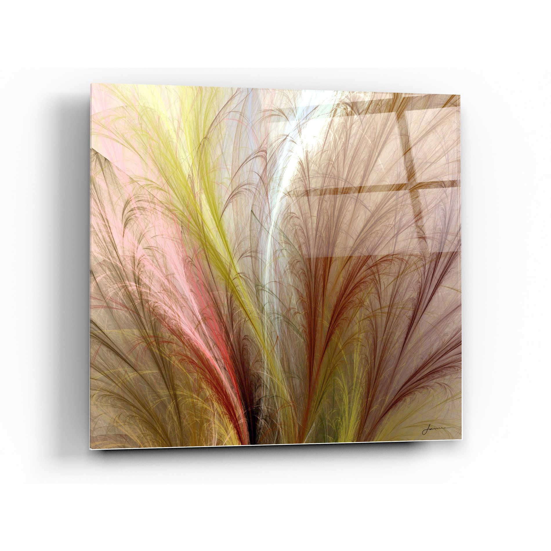 Epic Art 'Fountain Grass II' by James Burghardt, Acrylic Glass Wall Art,24x24