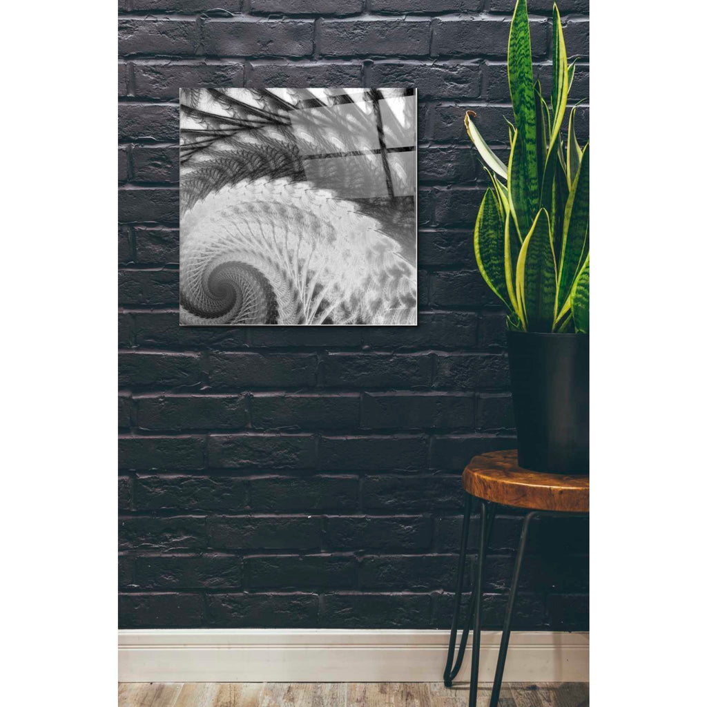 Epic Art 'Helix I' by James Burghardt, Acrylic Glass Wall Art,24x24