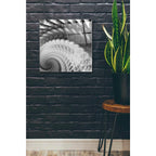 Epic Art 'Helix I' by James Burghardt, Acrylic Glass Wall Art,24x24
