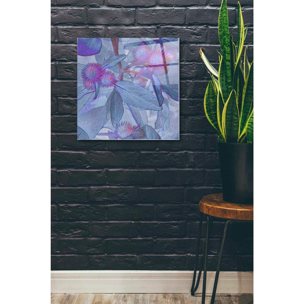 Epic Art 'Prickley Tiles IV' by James Burghardt, Acrylic Glass Wall Art,24x24