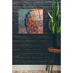 Epic Art 'Profusion I' by James Burghardt, Acrylic Glass Wall Art,24x24