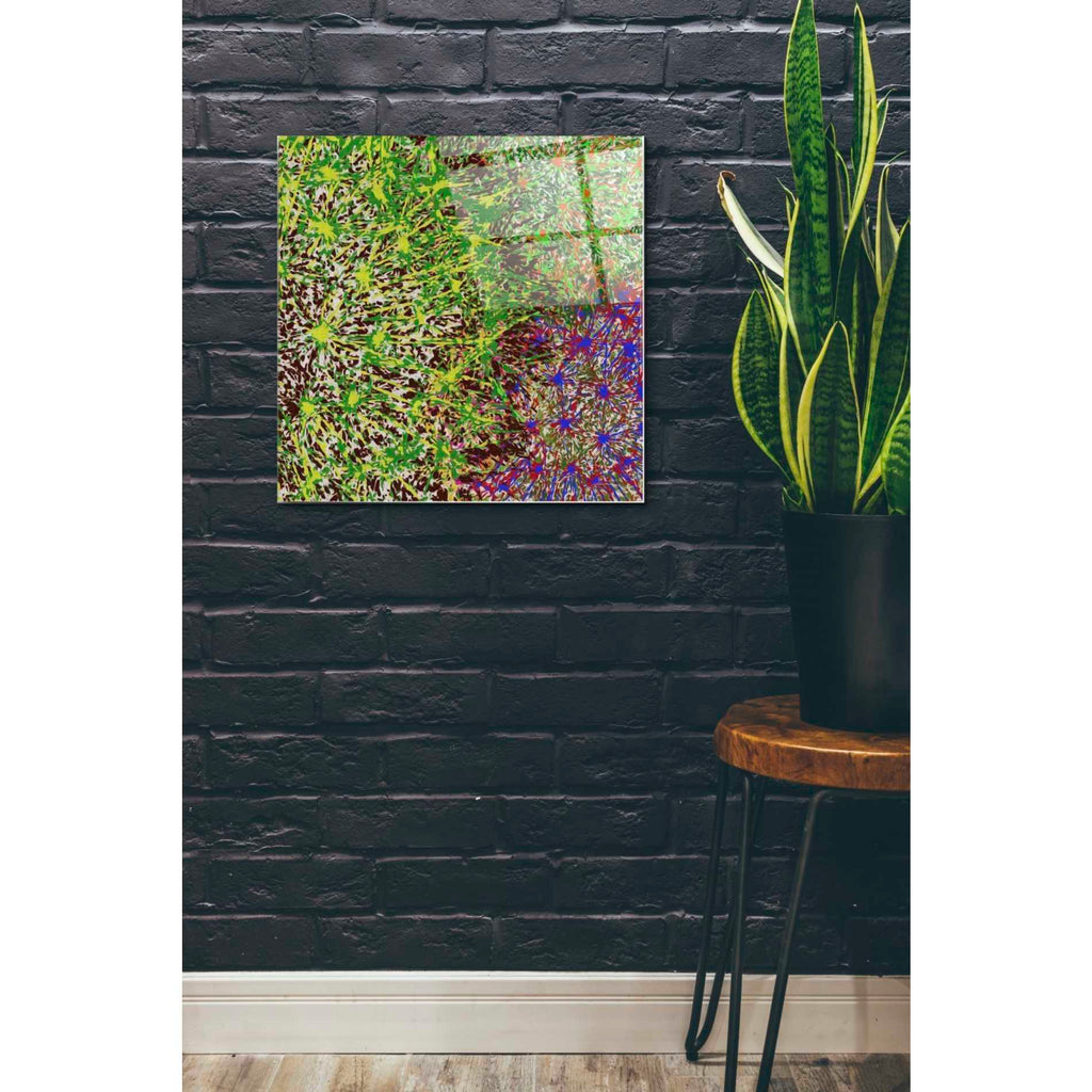 Epic Art 'Profusion II' by James Burghardt, Acrylic Glass Wall Art,24x24