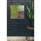 Epic Art 'Profusion II' by James Burghardt, Acrylic Glass Wall Art,24x24