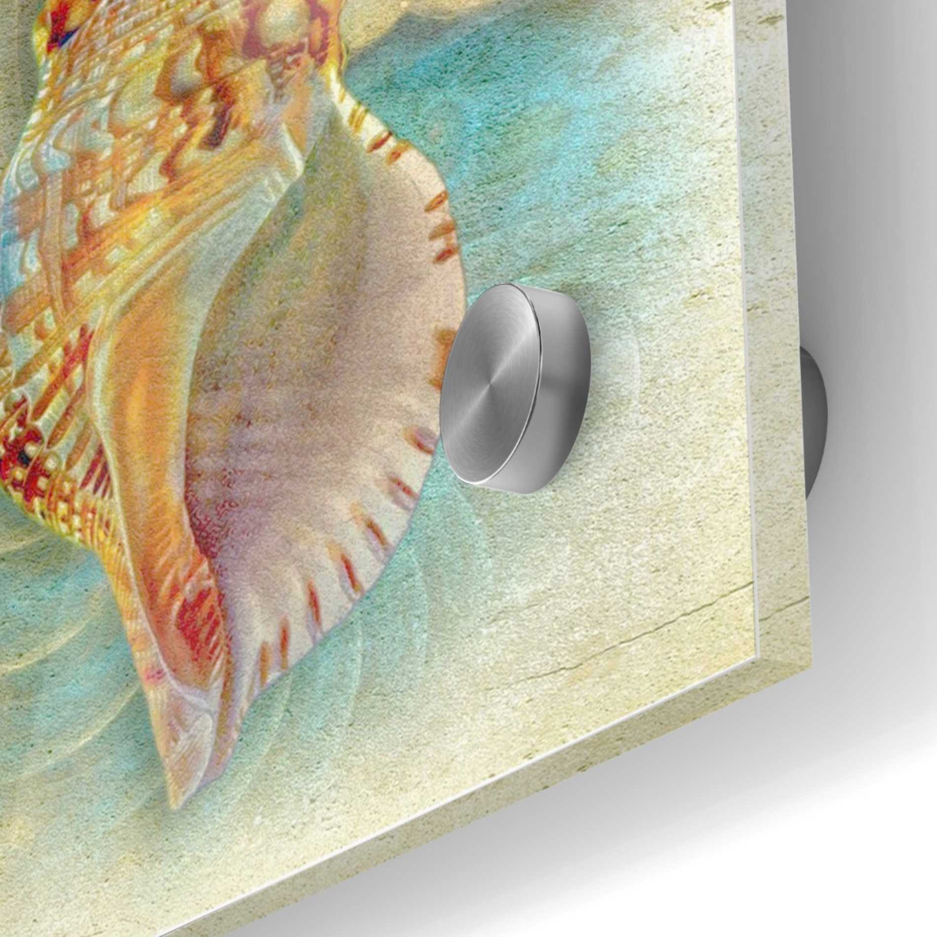 Epic Art 'Aquatica I' by Steve Hunziker Acrylic Glass Wall Art,24x24